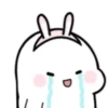 ️Mix bunny 2   MOV 19