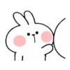 Spoiled Rabbit  Cute Action 18