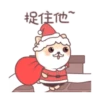 呆呆寵物狗Aida聖誕 18