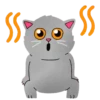 Grey Kitten 2  (mov)  ‍ 21