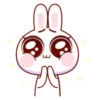 Super Cute Baby Rabbit 9