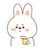 ️Mix bunny 2   MOV 20