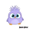 Angry birds 23