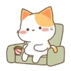 ️Orange Cat  MOV 17