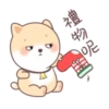 呆呆寵物狗Aida聖誕 20