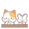 ️Orange Cat  MOV 18