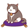 Grey Kitten (mov)  ‍ 19
