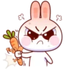 Super Cute Baby Rabbit 10