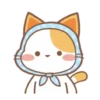 ️Orange Cat  MOV 19