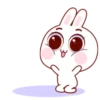 Super Cute Baby Rabbit 12