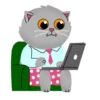 Grey Kitten 2  (mov)  ‍ 24