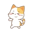 ️Orange Cat  MOV 20
