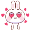 Super Cute Baby Rabbit 13