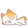 ️Orange Cat  MOV 22