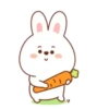 ️Mix bunny 2   MOV 24