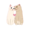 Jetoy甜蜜貓華麗夢境 16