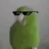 PetsReactions.Mix 15
