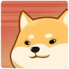 AKIO柴犬VOL.1 22
