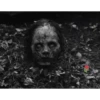 Hallowe administrador 2 23