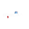 Conecta Mexico 2 12