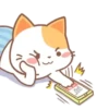 ️Orange Cat  MOV 24