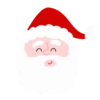 VARIADO NAVIDAD     mov 22
