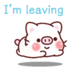 Laxi Pig Mov. 21