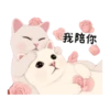 Jetoy甜蜜貓華麗夢境 18