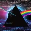 Pink Floyd 1 Movi 26