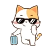 ️Orange Cat  MOV 25