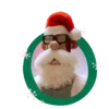 VARIADO NAVIDAD     mov 24