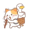 ️Orange Cat  MOV 27