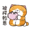 白爛貓31金勾杯動態 20