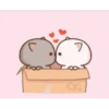 Mochi peach cat 22