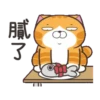 白爛貓31金勾杯動態 22