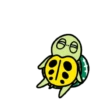 ● Turtles Salad Mov. ● 24