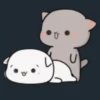Mochi peach cat 23