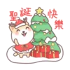 呆呆寵物狗Aida聖誕 22