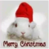 Felíz Navidad 25