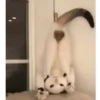 PetsReactions.Mix 18