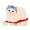 Jetoy甜蜜貓華麗夢境 20