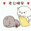 Mochi peach cat 25