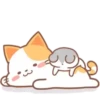 ️Orange Cat  MOV 28
