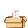 Super Cute Baby Rabbit 15