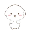 ️Perrito orejon   MOV 29