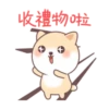 呆呆寵物狗Aida聖誕 23