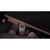 Hallowe administrador 2 28