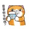 白爛貓31金勾杯動態 24