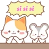 ️Orange Cat  MOV 29