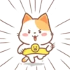 ️Orange Cat  MOV 30